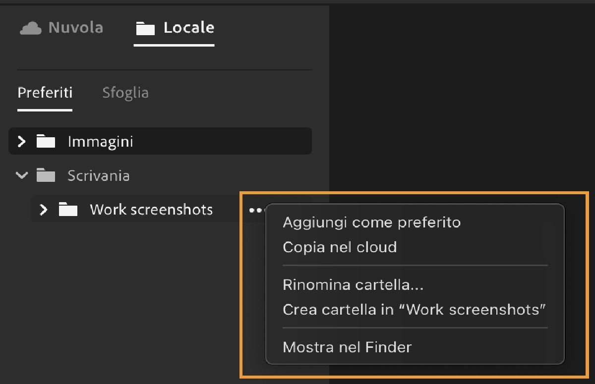 Organizzate e modificate i file multimediali archiviati localmente in Lightroom.