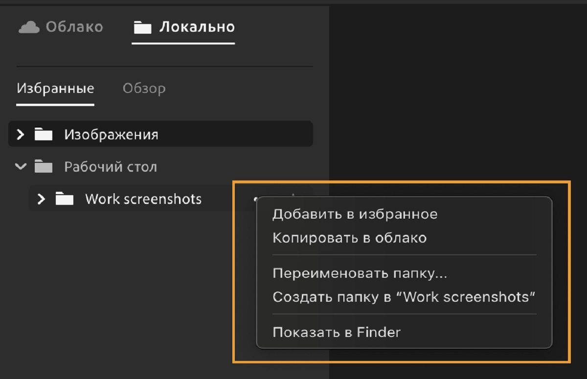 Систематизация и редактирование локально сохраненных медиафайлов в Lightroom.