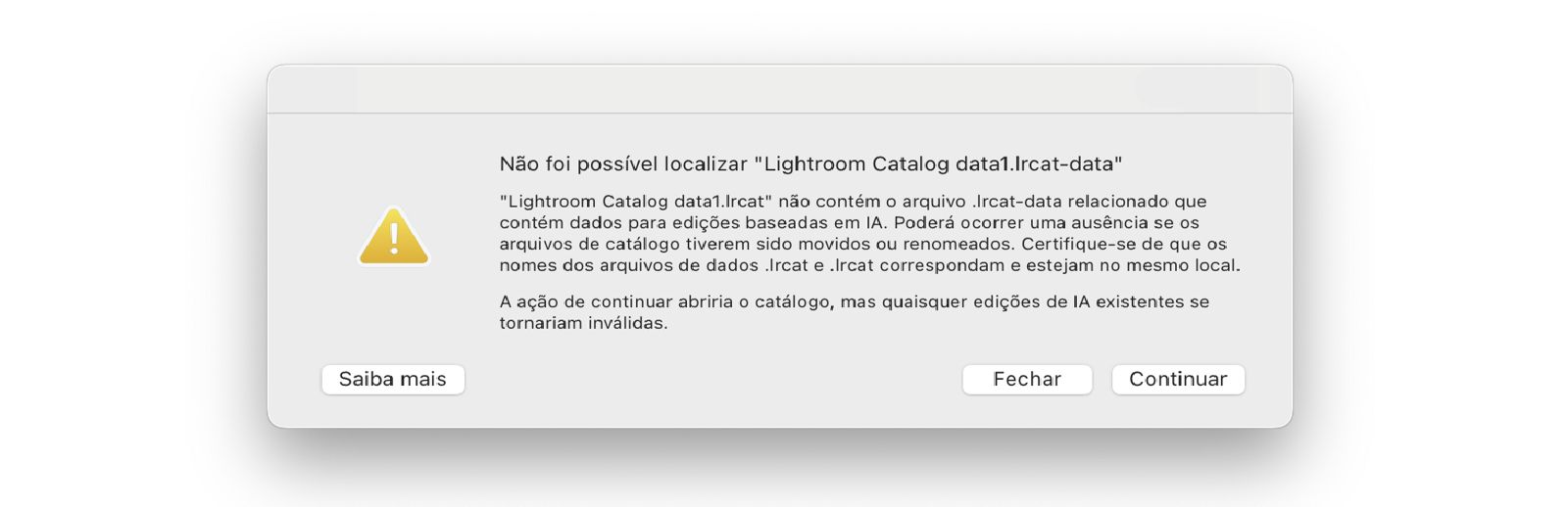 Mensagem de erro: Não foi possível localizar &quot;Lightroom Catalog.lrcat-data&quot;.