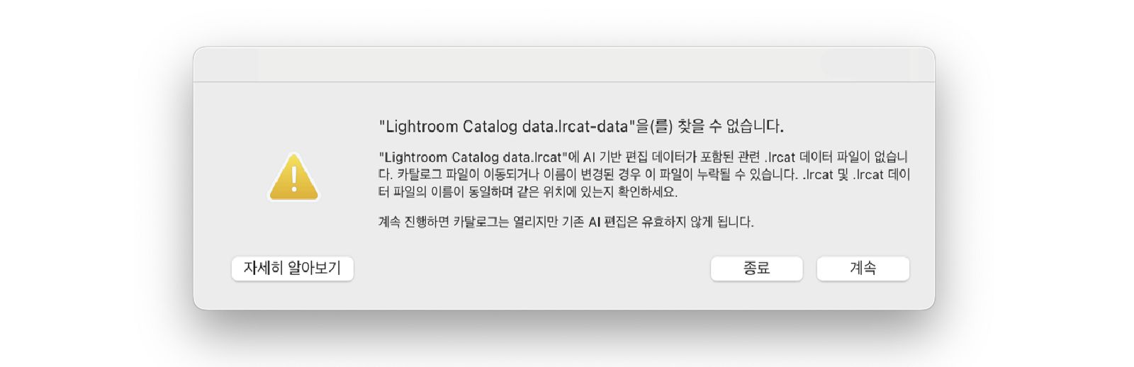 오류 메시지: 'Lightroom Catalog.lrcat-data'를 찾을 수 없습니다.