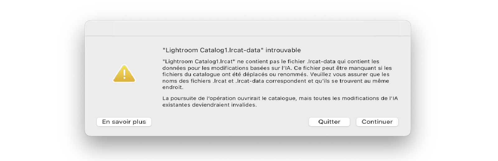 Message d’erreur : Impossible de localiser « Lightroom Catalog.lrcat-data ».