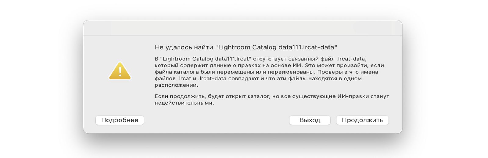Сообщение об ошибке. Не удалось найти файл «Lightroom Catalog.lrcat-data».