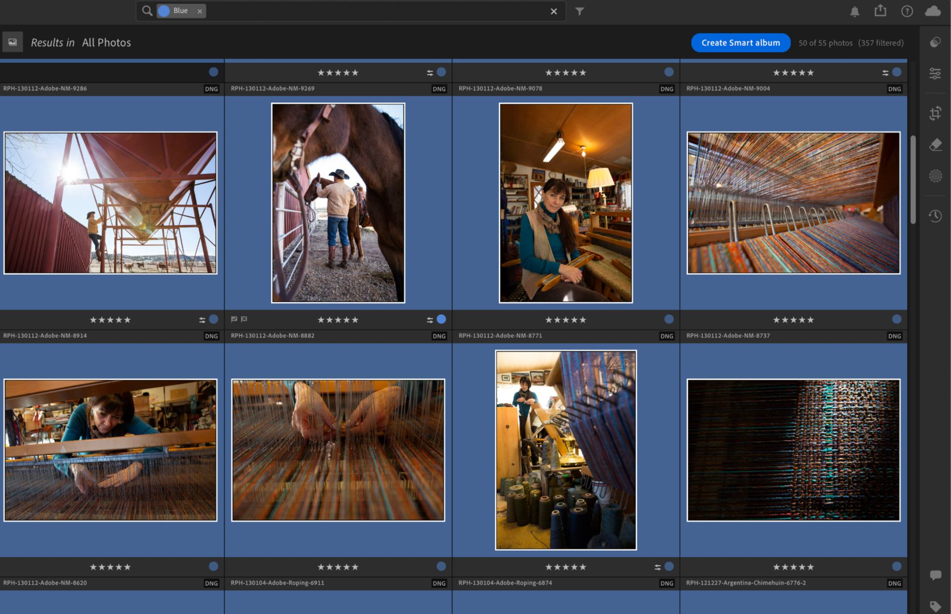 An album open in Lightroom with the Refine Search option enabled. 