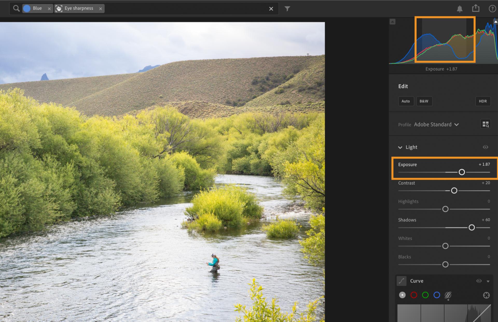 Lightroom editing view showing the Exposure slider adjustment using the Histogram updating to reflect changes in the image's tonal range.