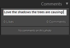 Skriv tilbakemelding eller legg til en kommentar i kommentarfeltet i Lightroom Classic CC