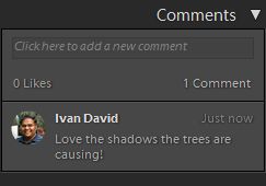 Et bilde med tilbakemelding fra en bruker i Lightroom Classic CC