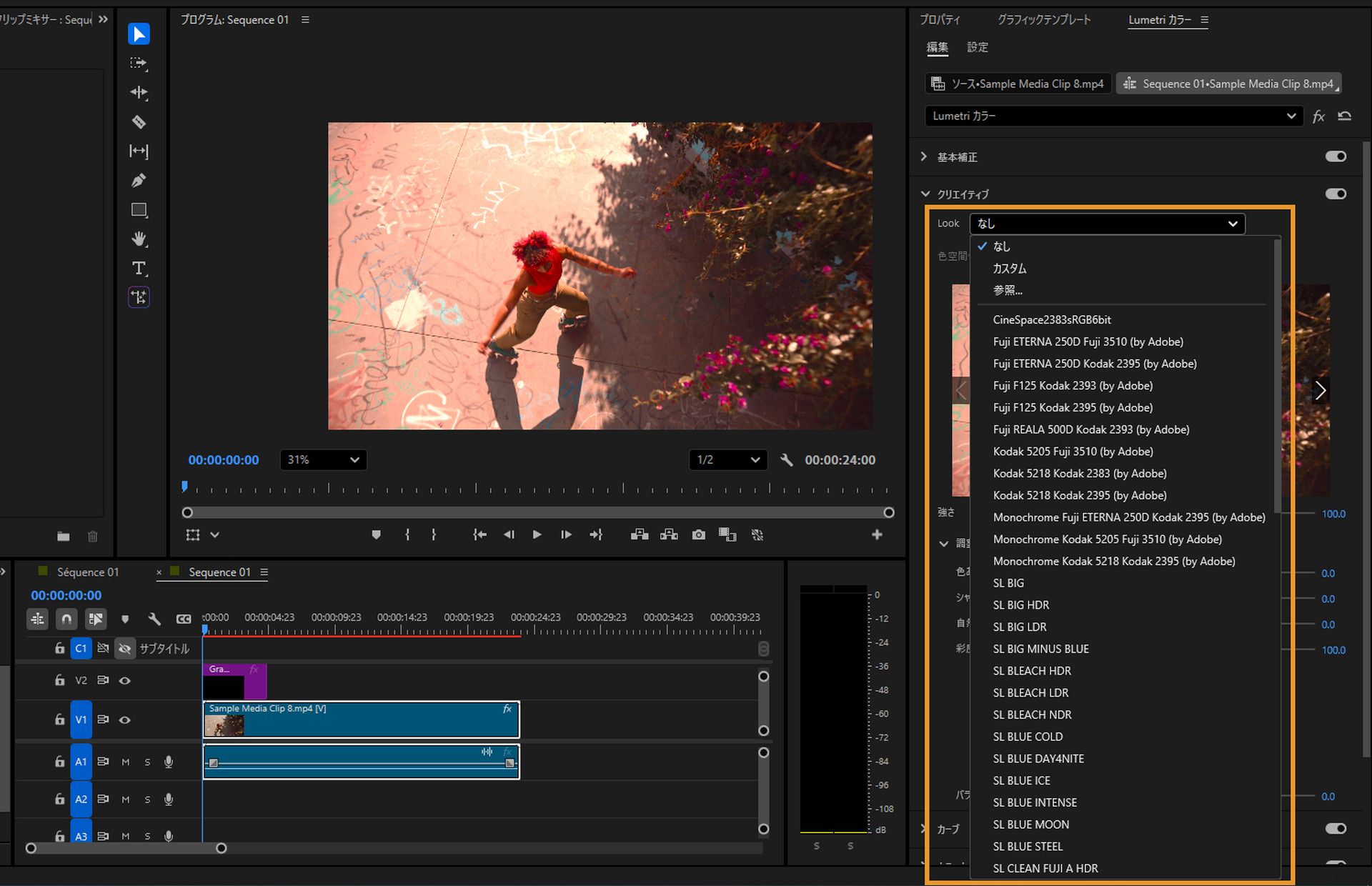 カラーマネジメント済みのクリップで使用するための複数のフィルム Look LUT オプションを表示する Lumetri パネル。