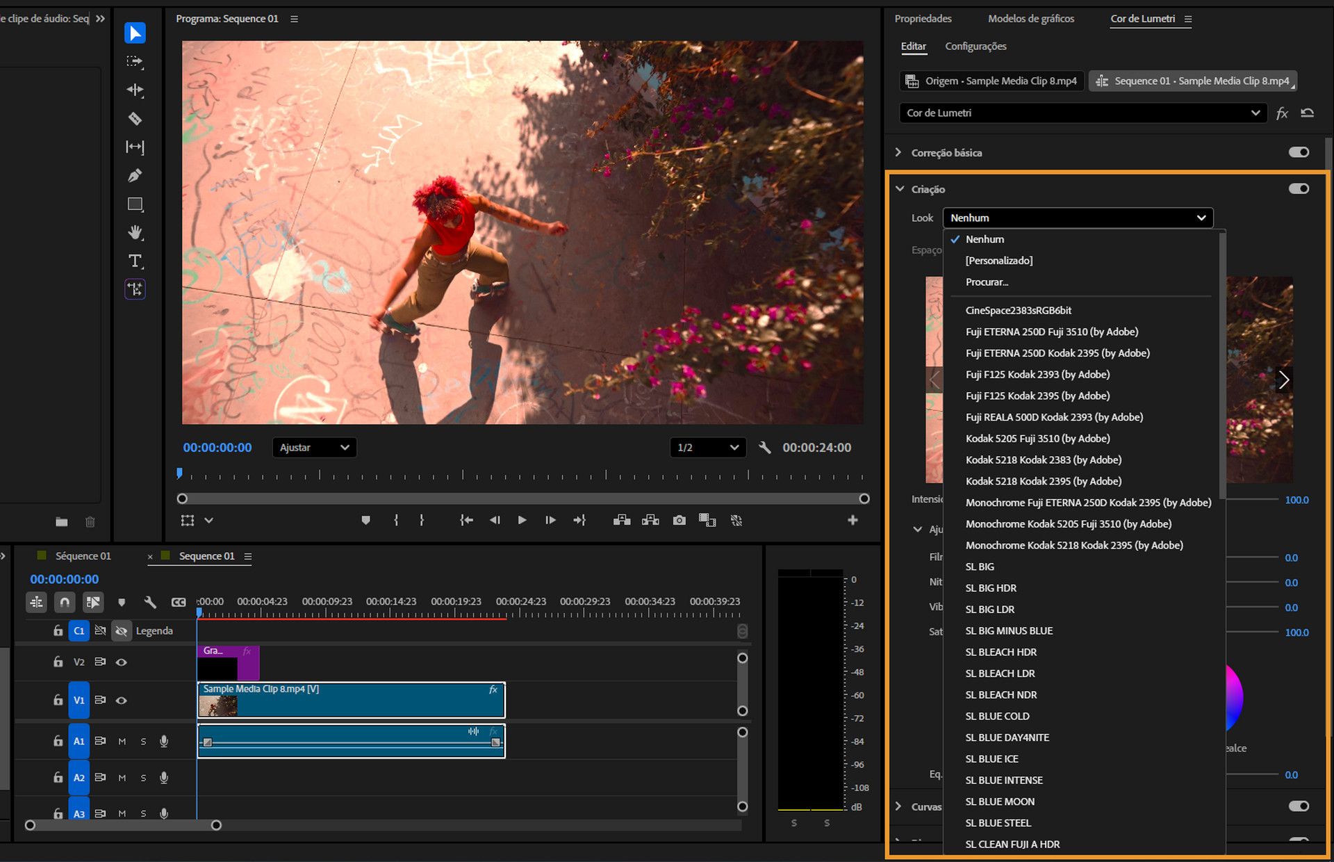 Painel “Lumetri”, exibindo várias opções de LUT com aparência de filme para uso com clipes gerenciados por cores.