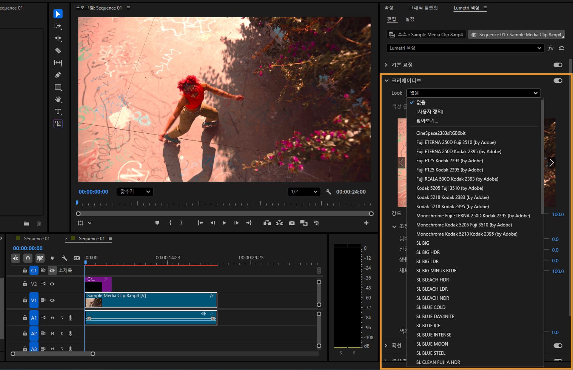 색상 관리된 클립에 사용할 수 있는 여러 필름 look LUT 옵션을 보여주는 Lumetri 패널.