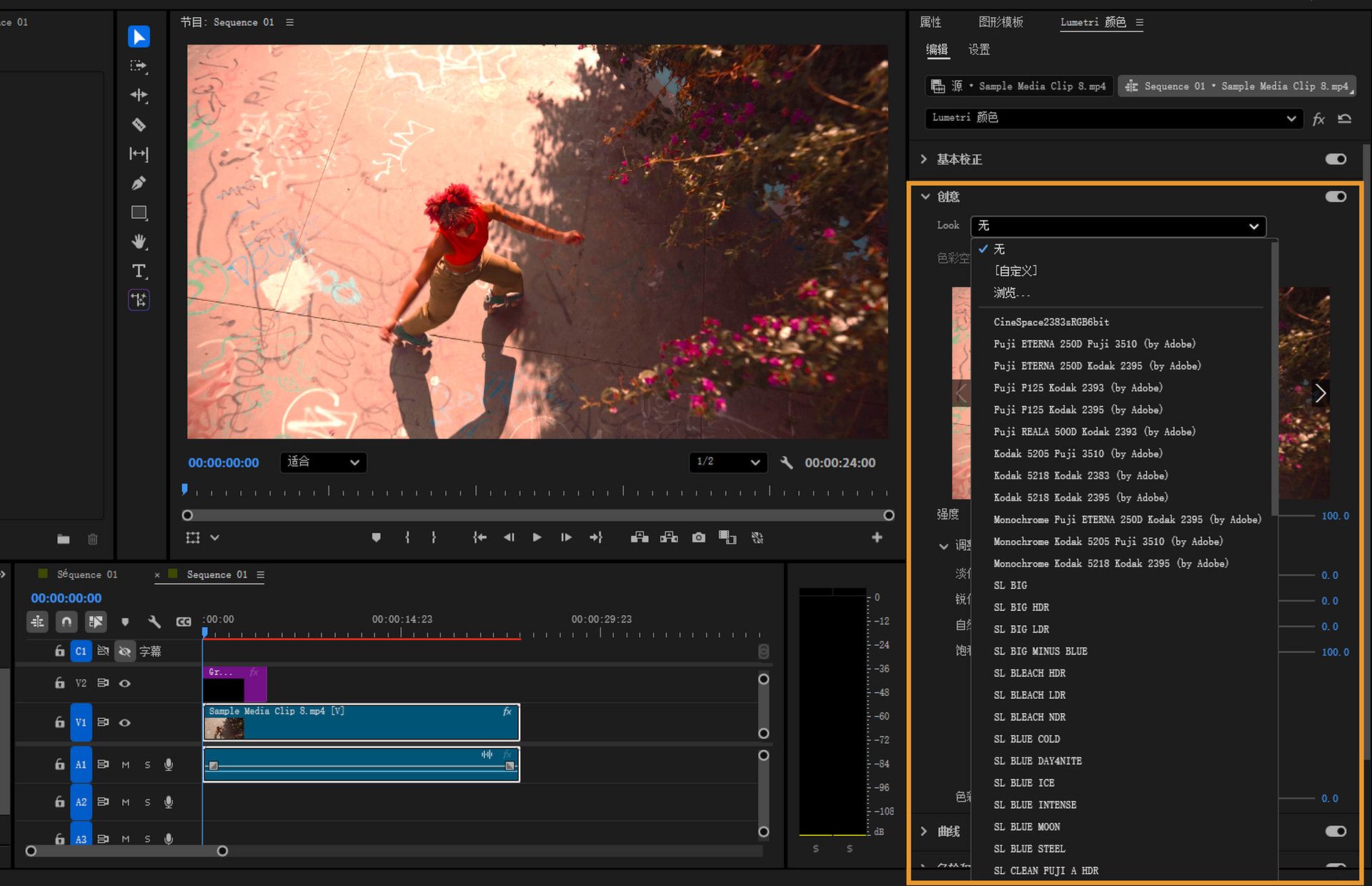 Lumetri 面板显示多个胶片外观 LUT 选项，可用于色彩管理剪辑。