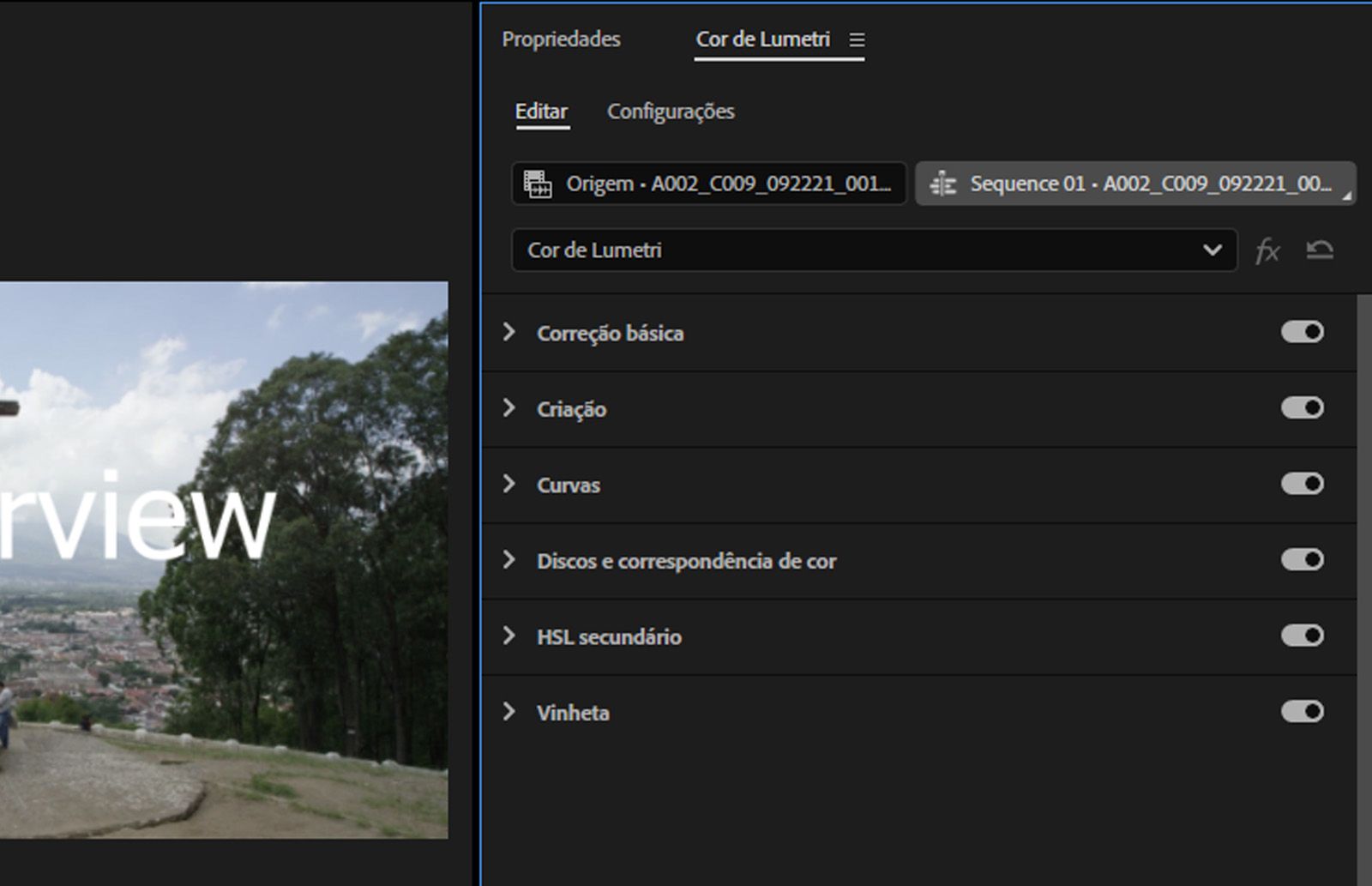 A seção de cores Lumetri aberta com as opções de adicionar, renomear ou excluir efeitos de cores Lumetri.