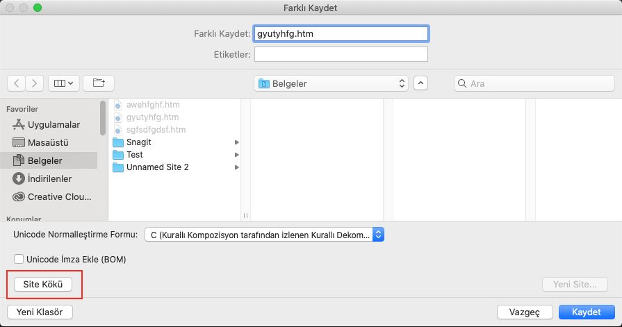 Dosya olarak kaydet iletişim kutusunda kök düğmesi