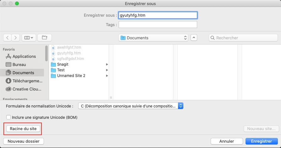 Bouton Racine dans la boîte de dialogue Enregistrer sous
