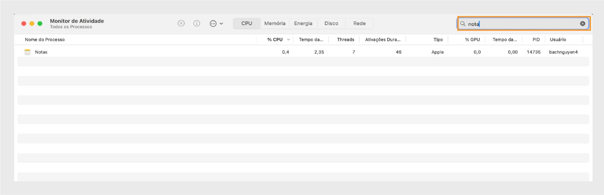 Monitor de Atividade do macOS exibindo todos os processos relacionados.