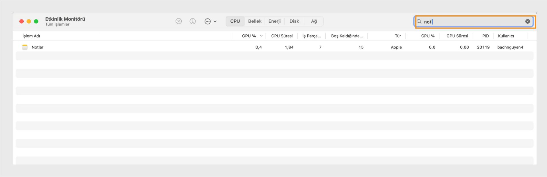 Tüm ilgili işlemleri gösteren macOS Etkinlik Monitörü.