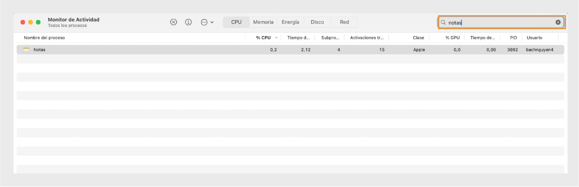 Monitor de Actividad de macOS mostrando todos los procesos relacionados.