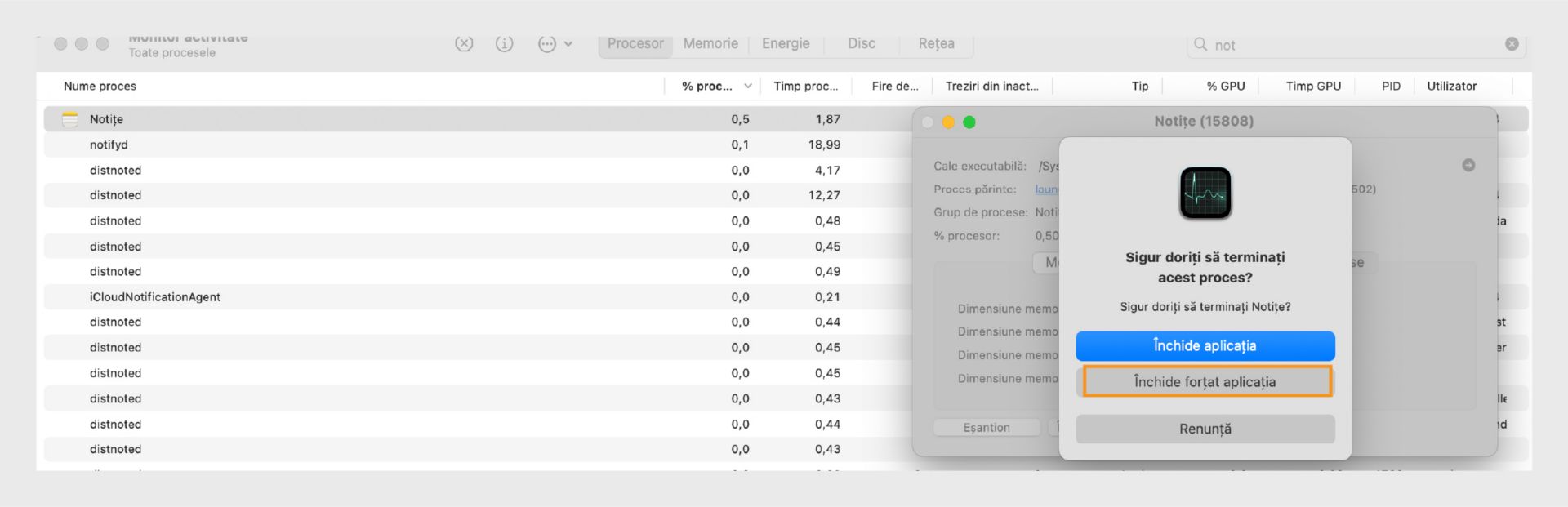 Monitorul de activitate din macOS solicitând părăsirea sau forțarea părăsirii Microsoft Word, cu Forțare părăsire evidențiat.