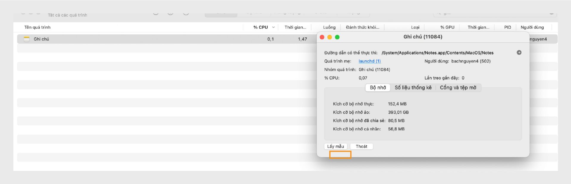 Màn hình theo dõi hoạt động của macOS hiển thị chi tiết quy trình Microsoft Word với nút Thoát được làm nổi bật.