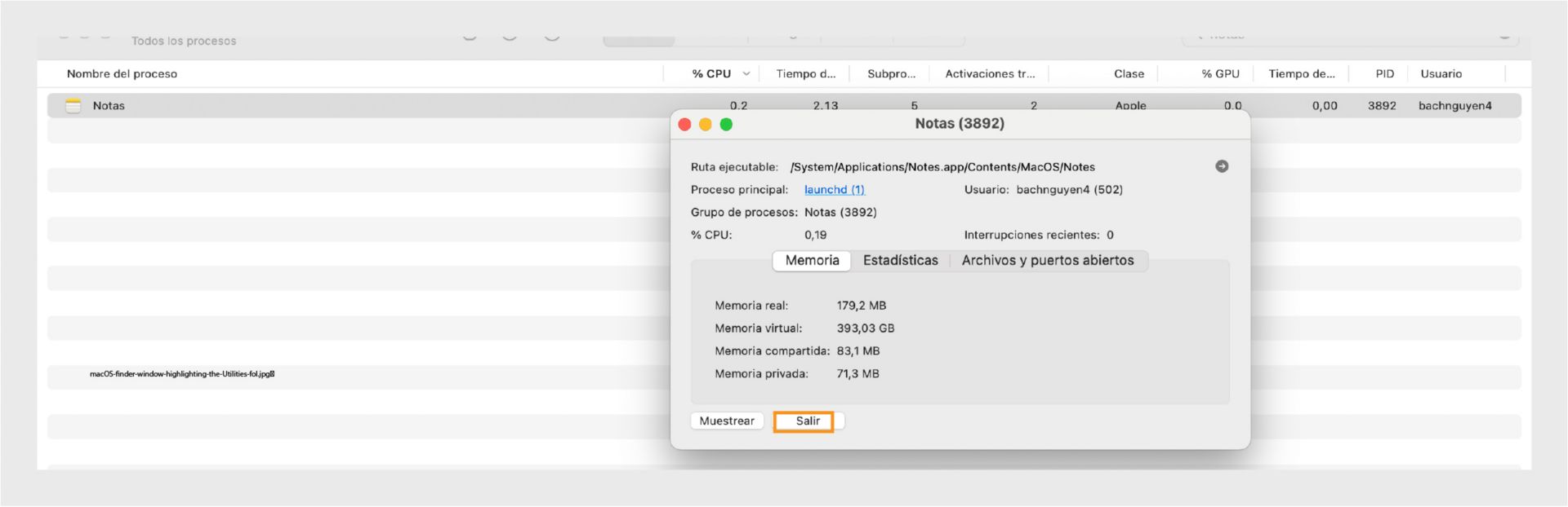 Monitor de Actividad de macOS mostrando los detalles del proceso de Microsoft Word con el botón Salir resaltado.