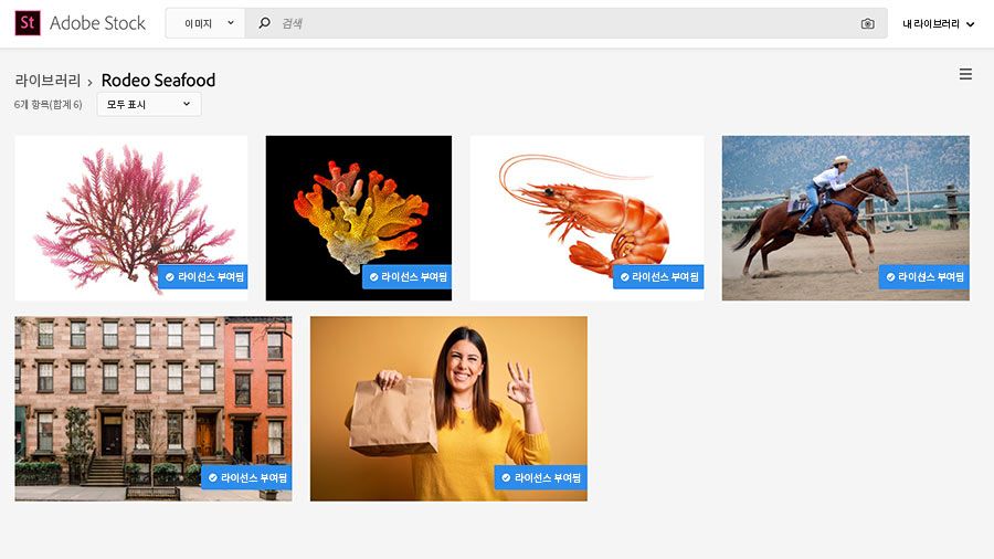 Adobe Stock 웹 사이트에 맞춤 선별된 라이브러리 표시