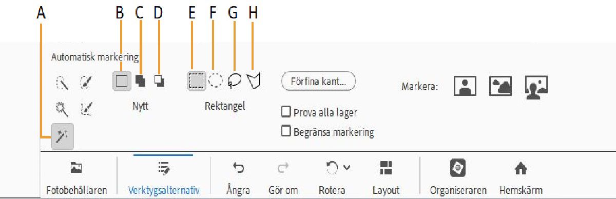 Verktyget Automatisk markering