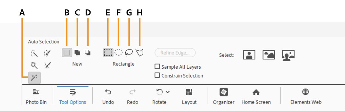 Auto selection tools