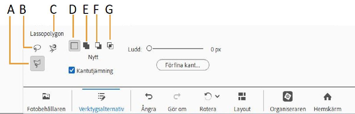Verktyget Polygonlasso