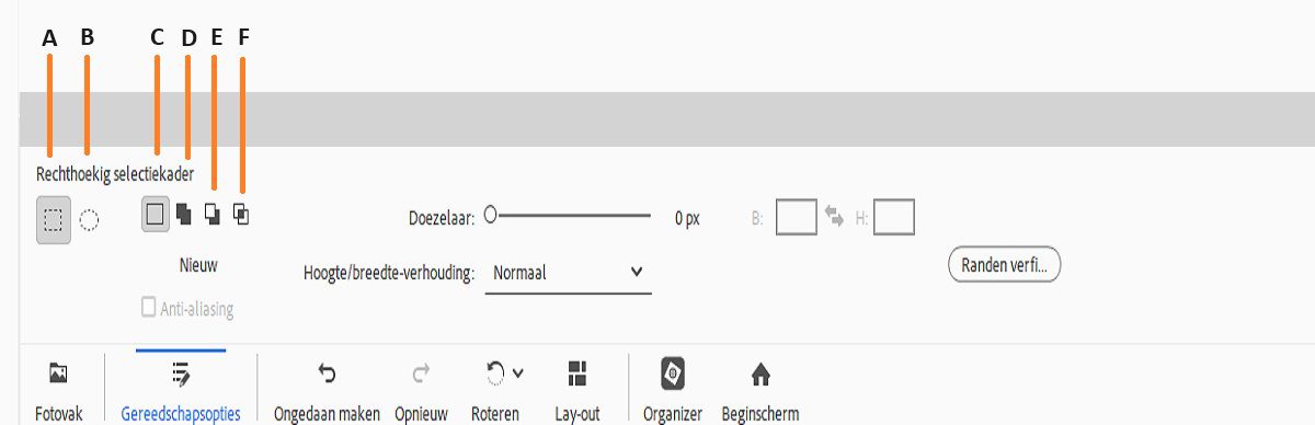 De tools Rechthoekig en Ovaal selectiekader