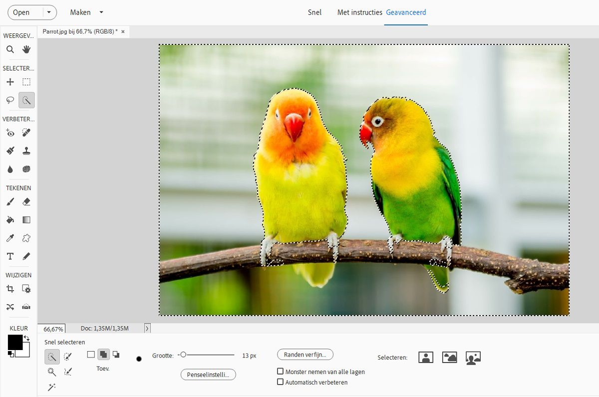 Photoshop Elements voert automatisch de selectie in uw foto uit.