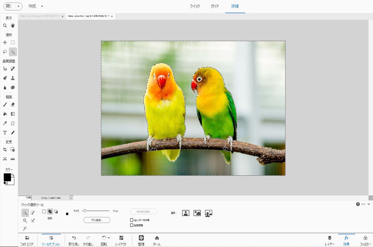 Photoshop Elements では、写真内の選択が自動的に実行されます。