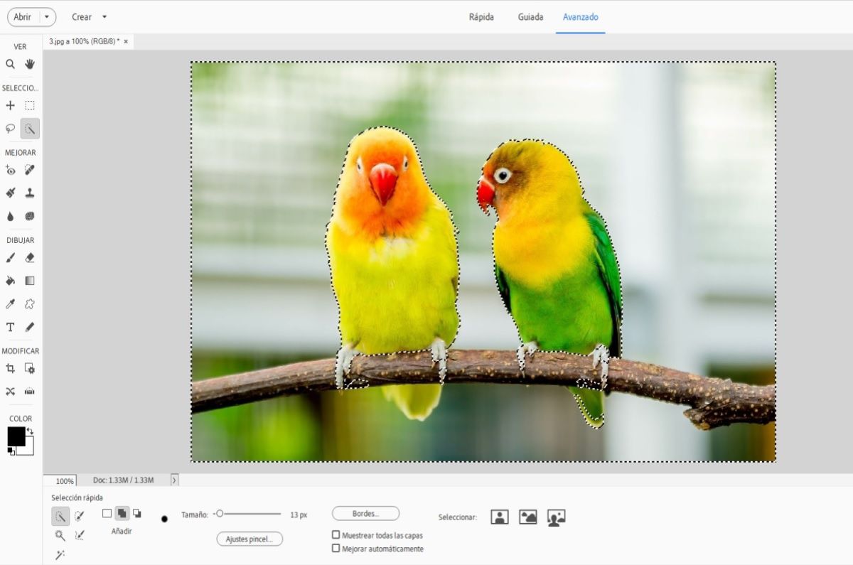 Photoshop Elements realiza automáticamente la selección en la fotografía.