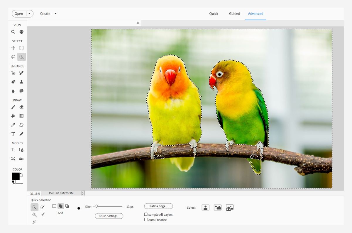 Photoshop Elements automatically performs selection in your photo.