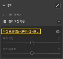 수동으로 렌즈 프로필 선택