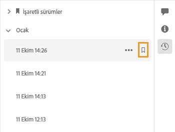 Bu sürümü adlandır