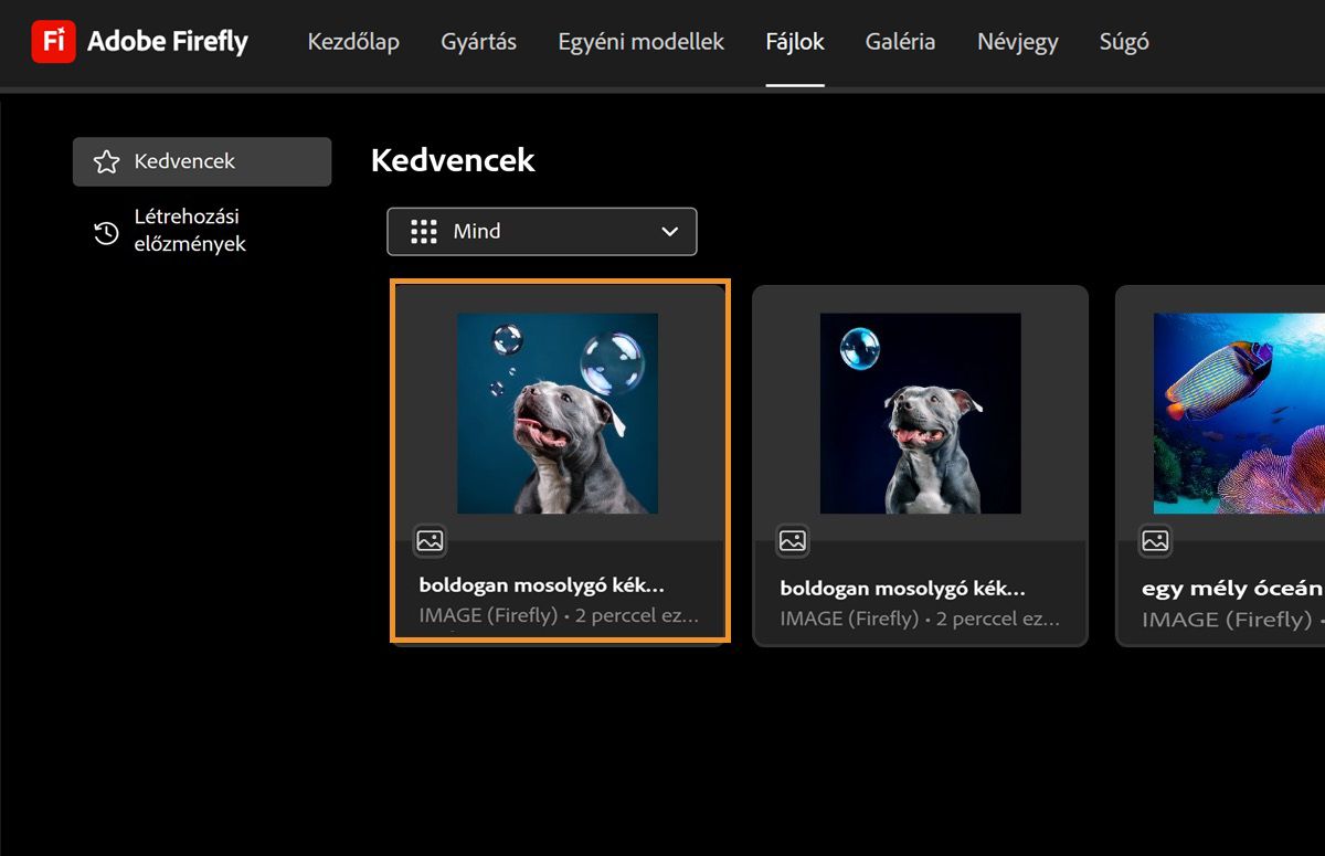 A kép kedvencként szerepel a Fájlok oldal Kedvencek lapján.