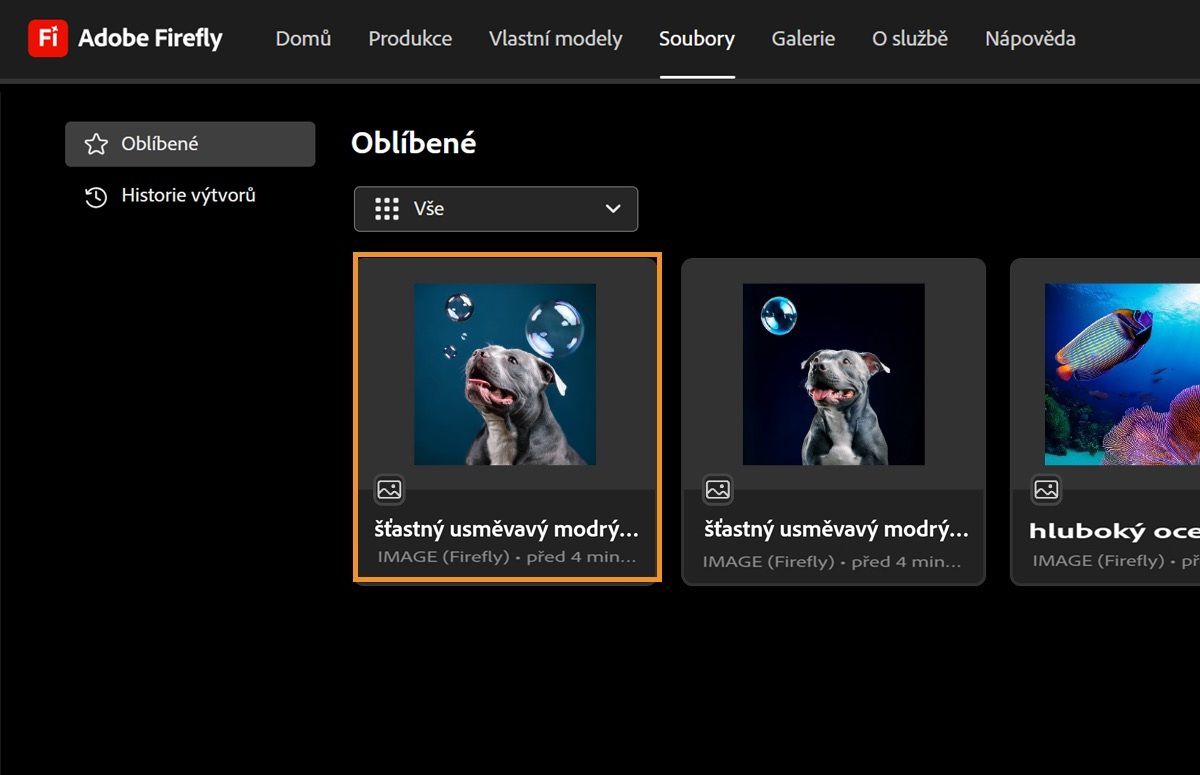 Obrázek je uveden jako oblíbený na kartě Oblíbené na stránce Soubory.