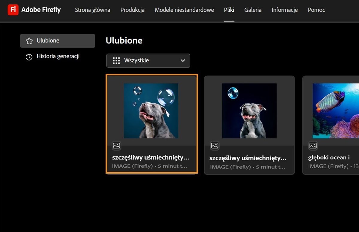 Obraz jest wyświetlany jako ulubiony na karcie Ulubione na stronie Pliki.