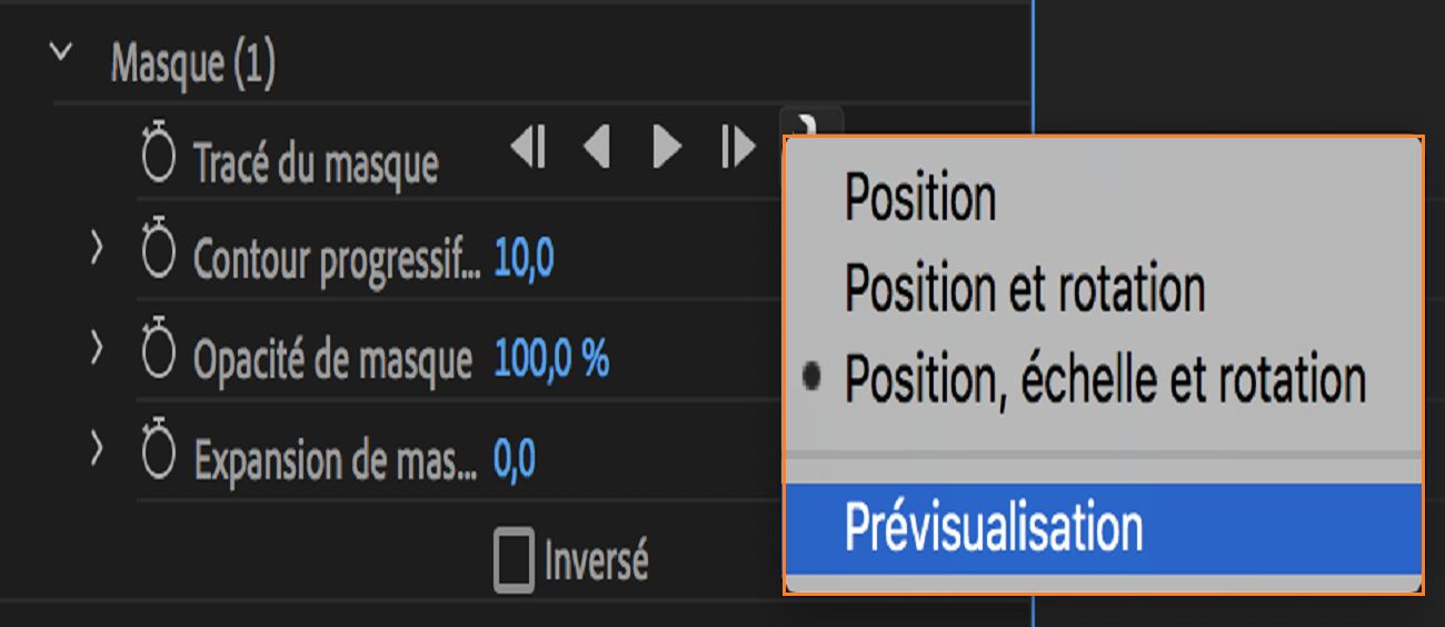 Prévisualisation de masque