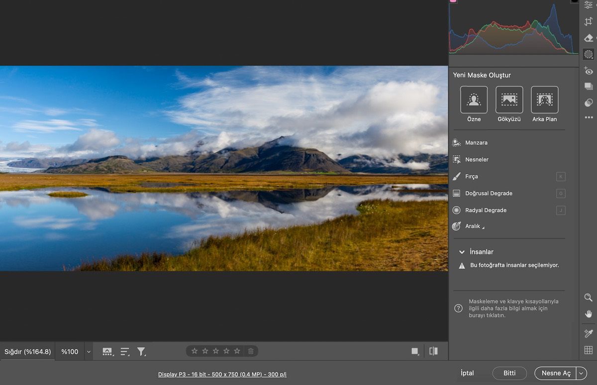 Camera Raw'da Maskeleme çalışma alanı