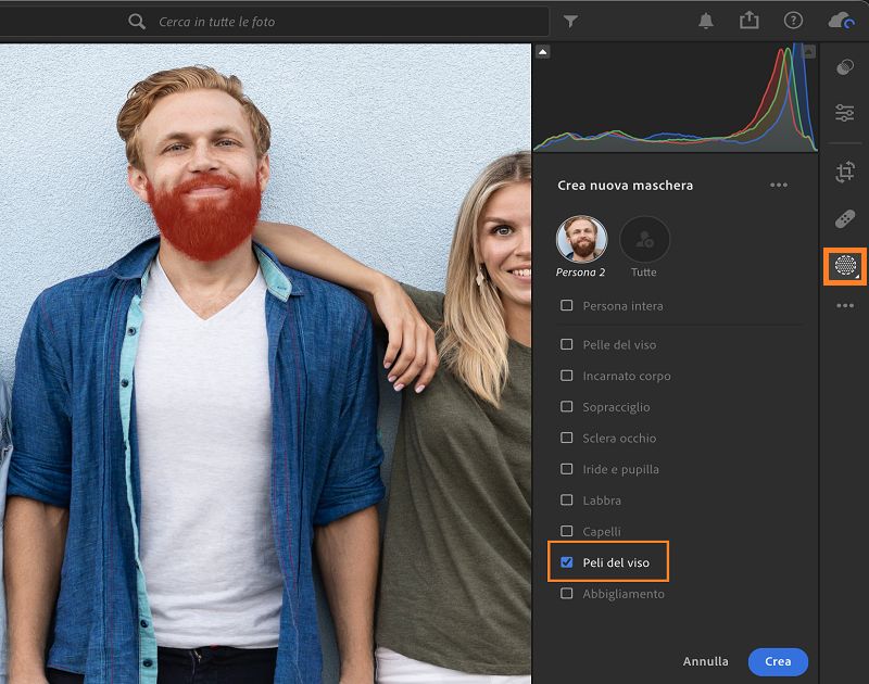 Selezione di Peli del viso nella maschera Persone