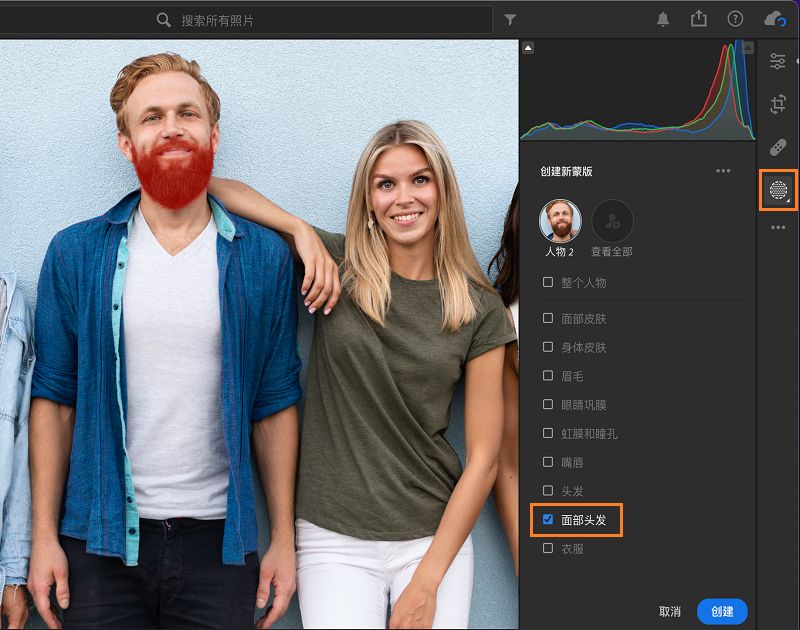 人物蒙版中的面部毛发选区
