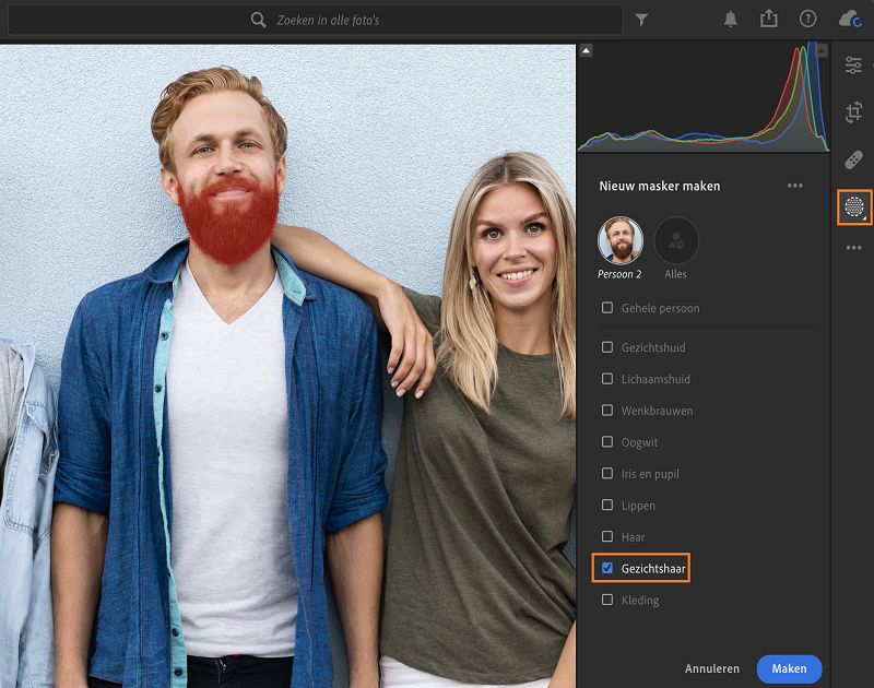 Selectie van gezichtshaar in het masker Personen