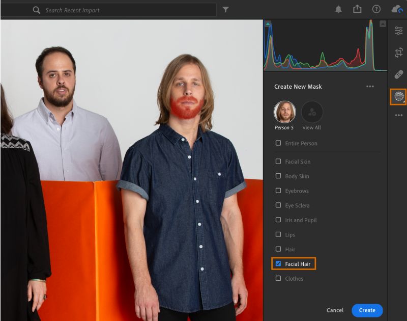 Facial hair selection in People mask