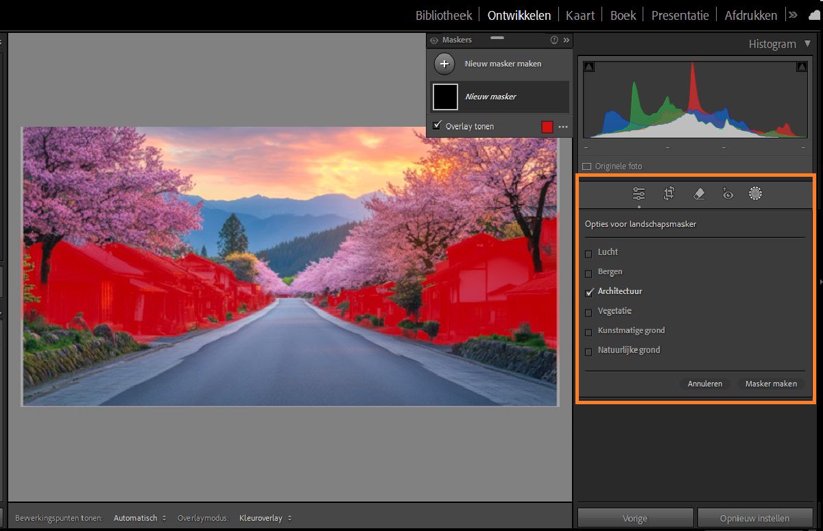 landschapsmasker selecteren wordt toegepast op de architectuur in de foto.
