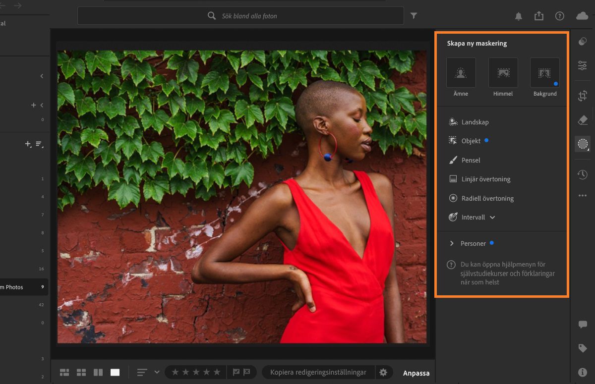 maskeringspanelen i Lightroom