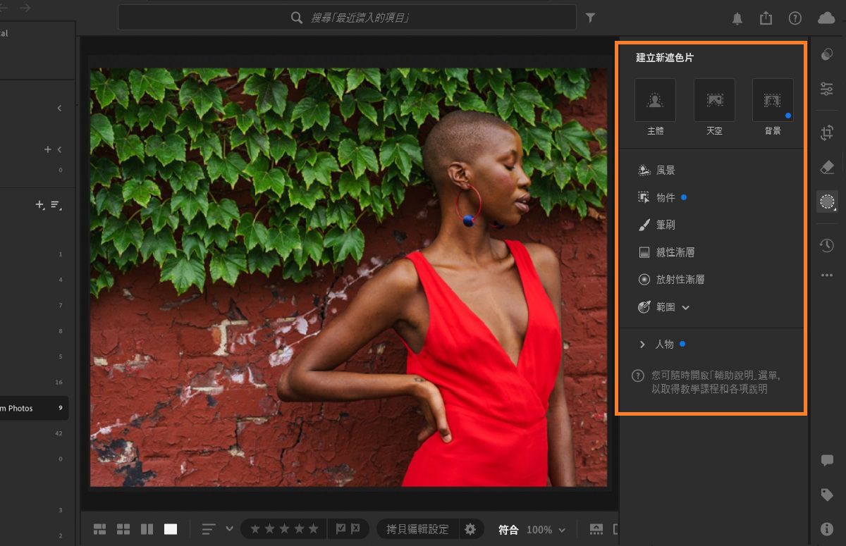 Lightroom 中的遮色片面板
