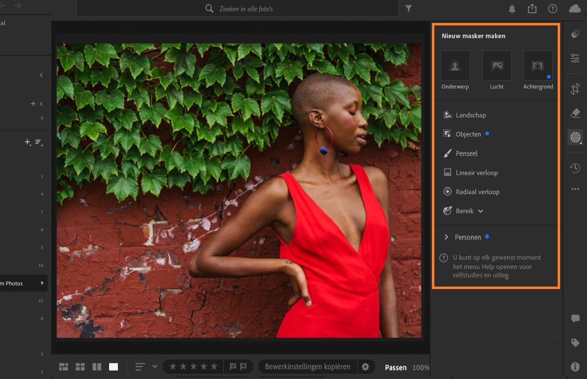 deelvenster Maskeren in Lightroom