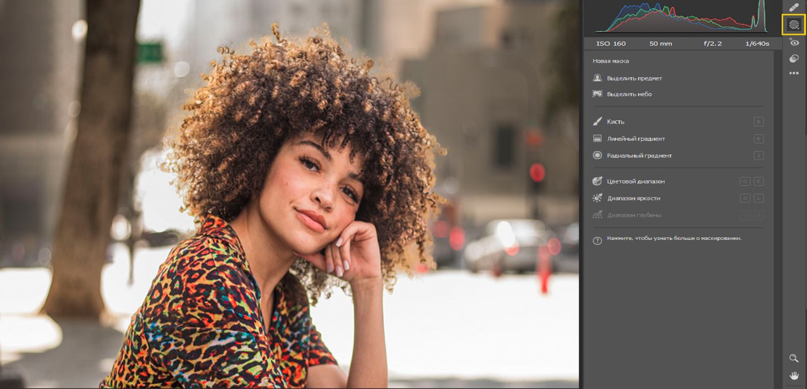 Инструменты маскирования в Adobe Camera Raw