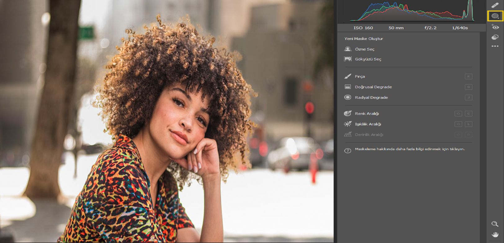 Adobe Camera Raw'da maskeleme araçları