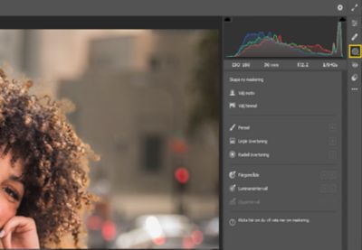 Maskering i Camera Raw